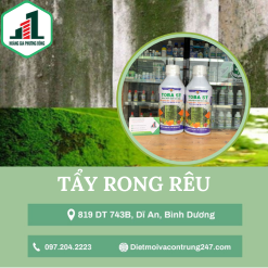 Tẩy rong rêu